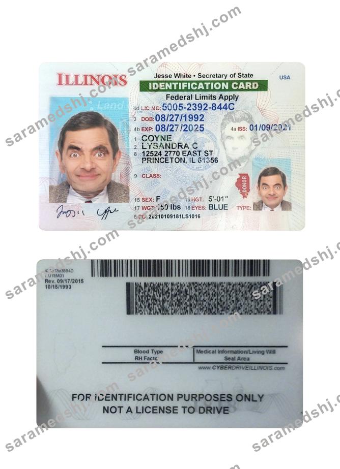 USA Illinois ID card